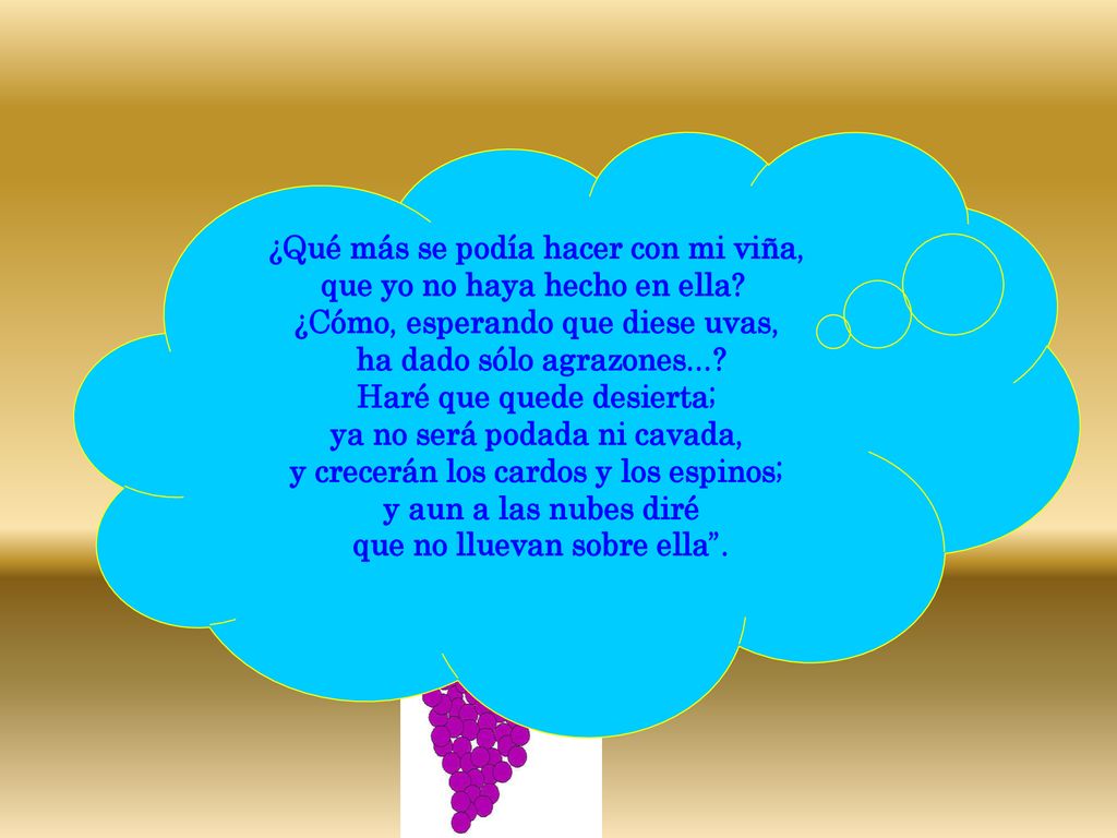¿Qué más se podía hacer con mi viña, que yo no haya hecho en ella