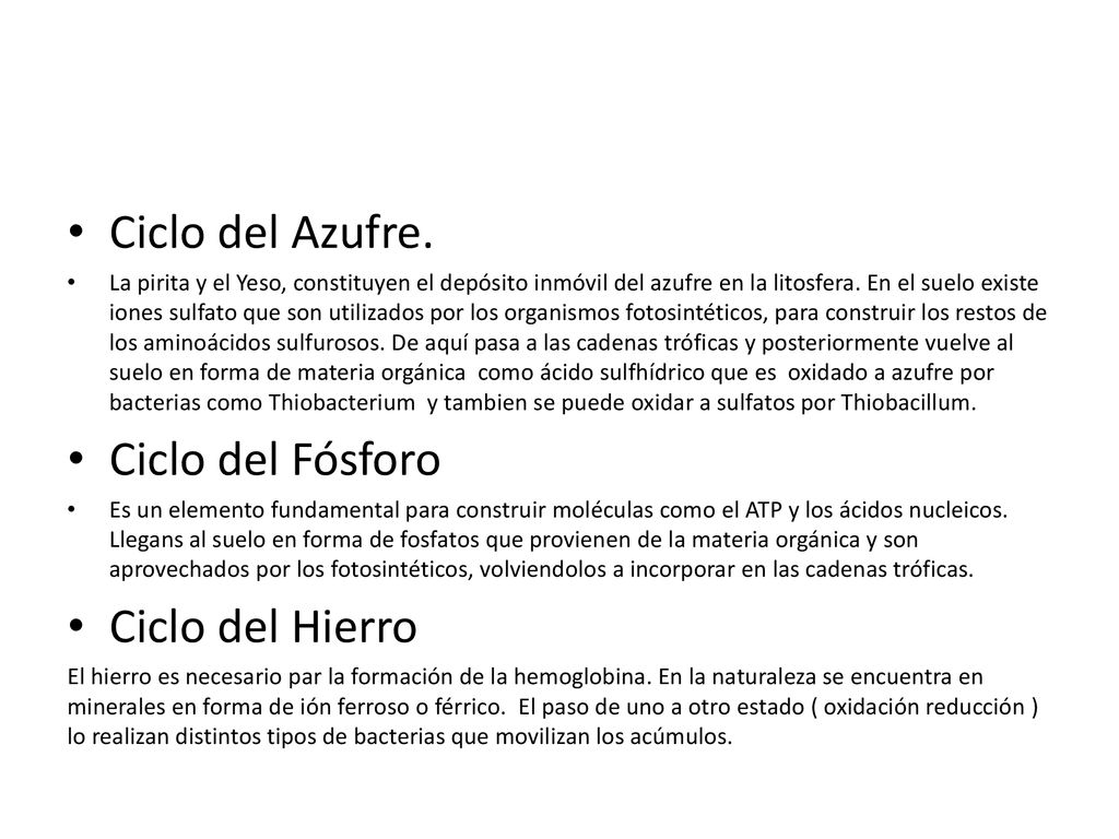Ciclo del Azufre. Ciclo del Fósforo Ciclo del Hierro