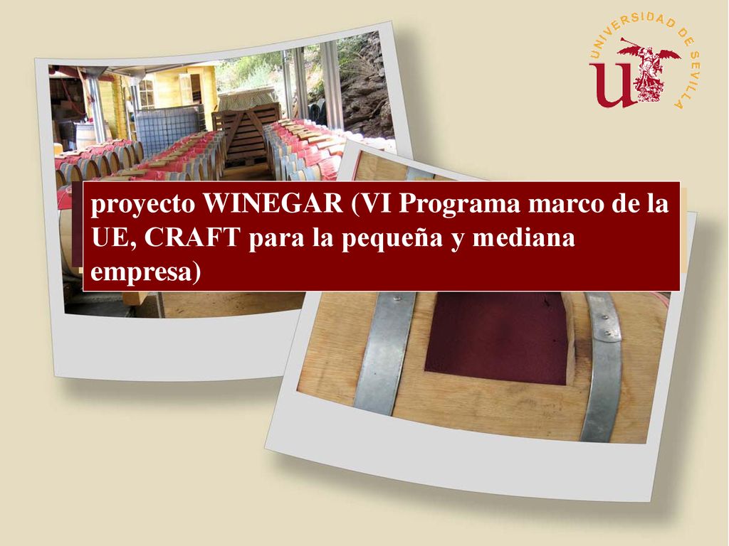 proyecto WINEGAR (VI Programa marco de la UE, CRAFT para la pequeña y mediana empresa)