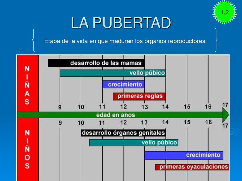 Etapa de la vida en que maduran los órganos reproductores