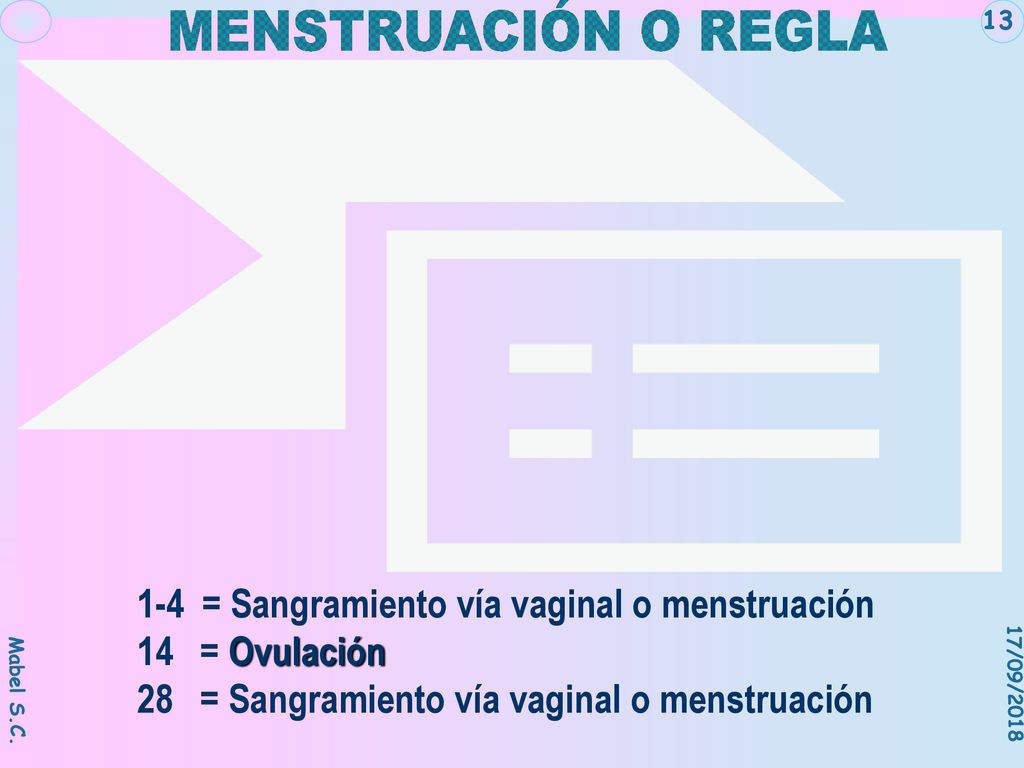 MENSTRUACIÓN O REGLA 1-4 = Sangramiento vía vaginal o menstruación
