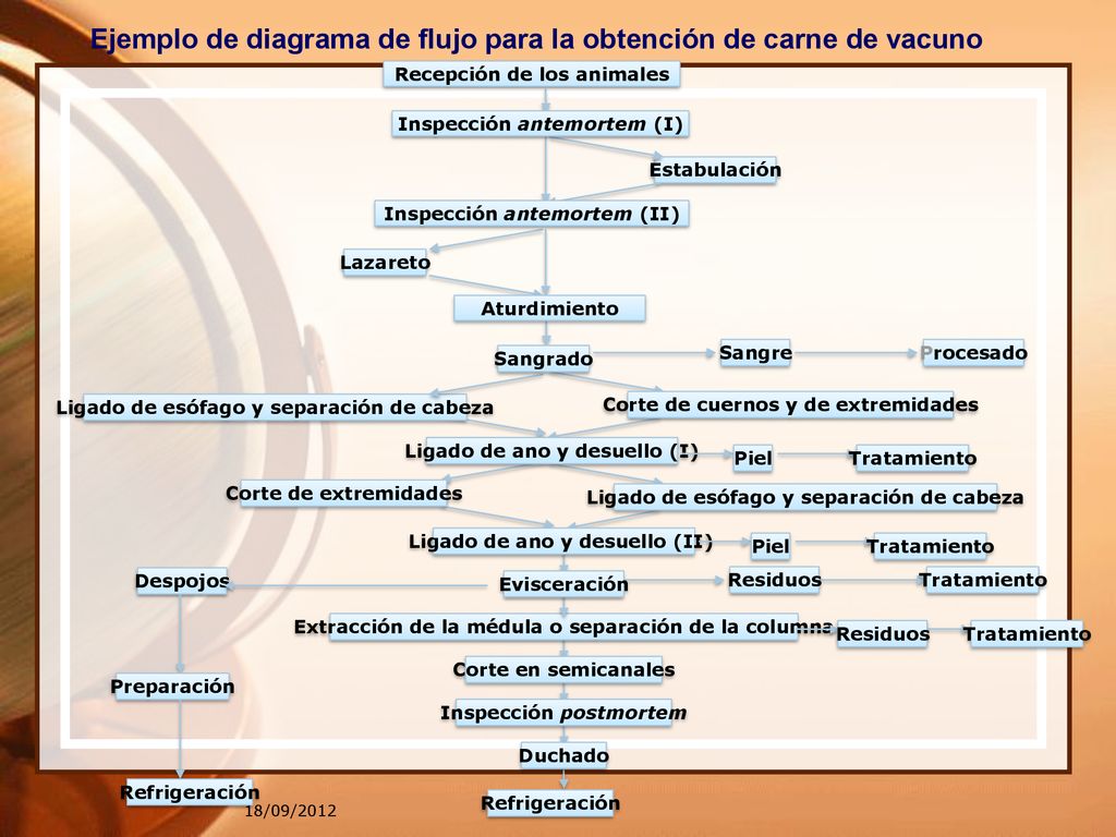 Ejemplo de diagrama de flujo para la obtención de carne de vacuno