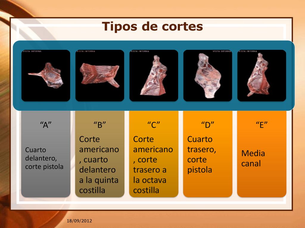 Tipos de cortes A Cuarto delantero, corte pistola. B Corte americano, cuarto delantero a la quinta costilla.