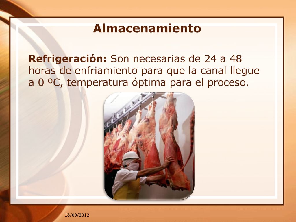 Almacenamiento Refrigeración: Son necesarias de 24 a 48 horas de enfriamiento para que la canal llegue a 0 ºC, temperatura óptima para el proceso.