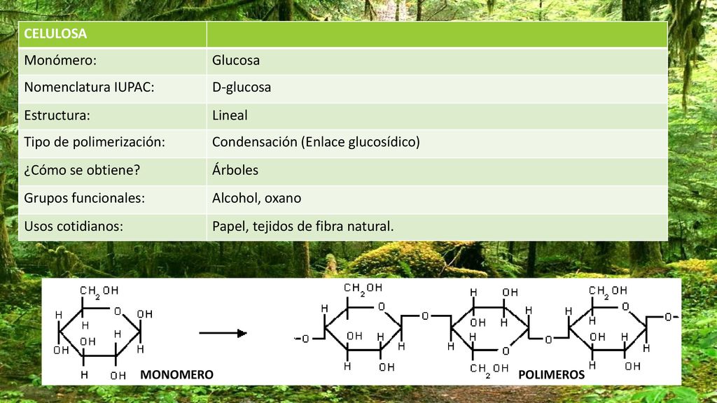 Tipo de polimerización: Condensación (Enlace glucosídico)