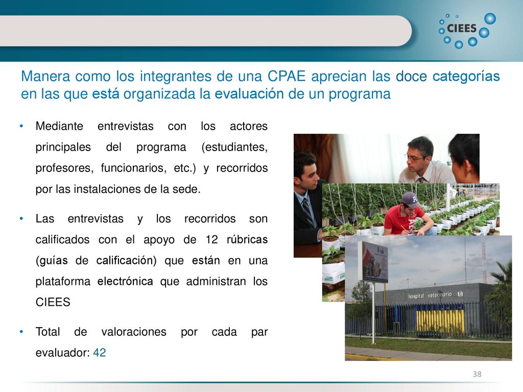 Manera como los integrantes de una CPAE aprecian las doce categorías en las que está organizada la evaluación de un programa