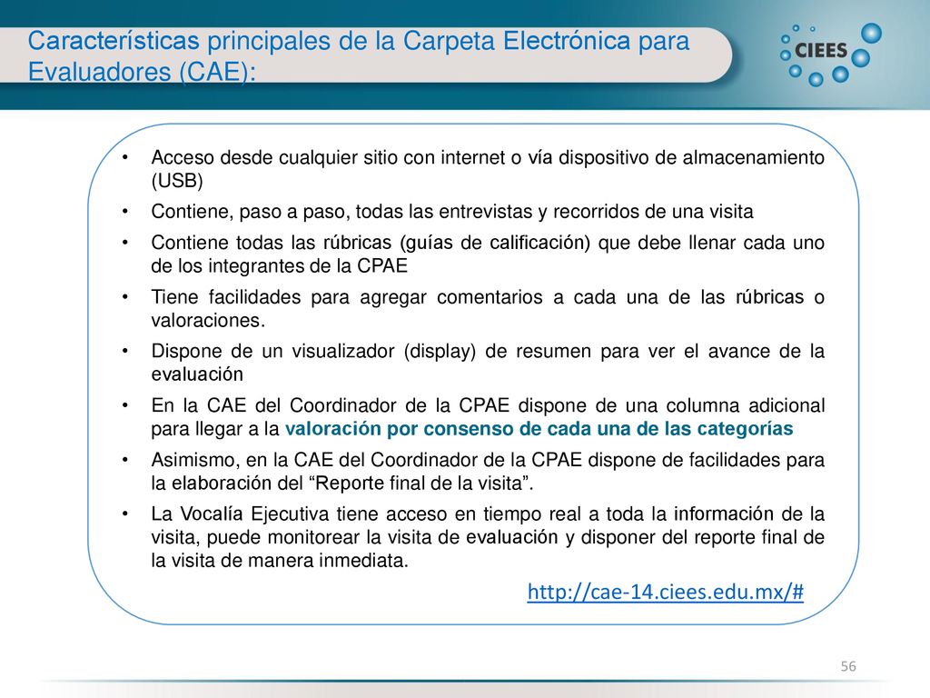 Características principales de la Carpeta Electrónica para Evaluadores (CAE):