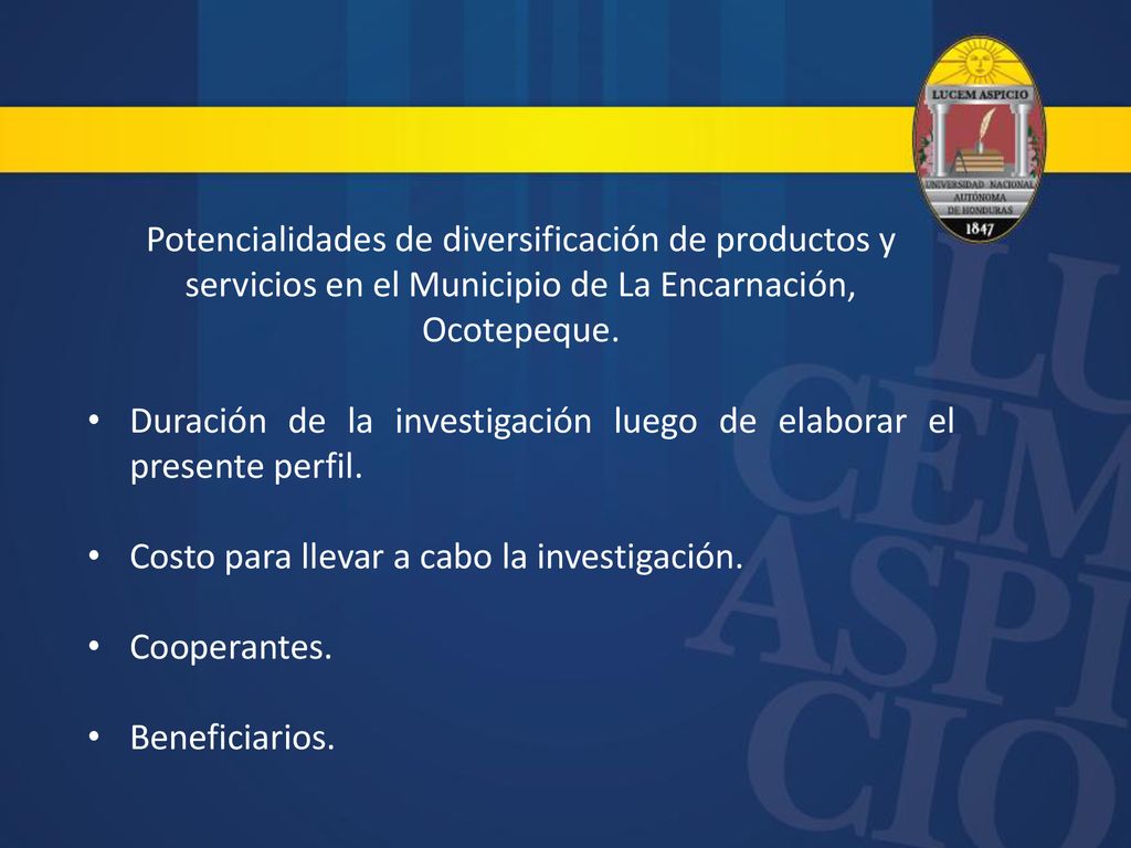 Duración de la investigación luego de elaborar el presente perfil.