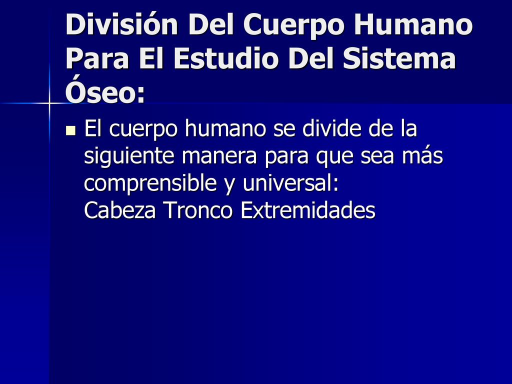 División Del Cuerpo Humano Para El Estudio Del Sistema Óseo: