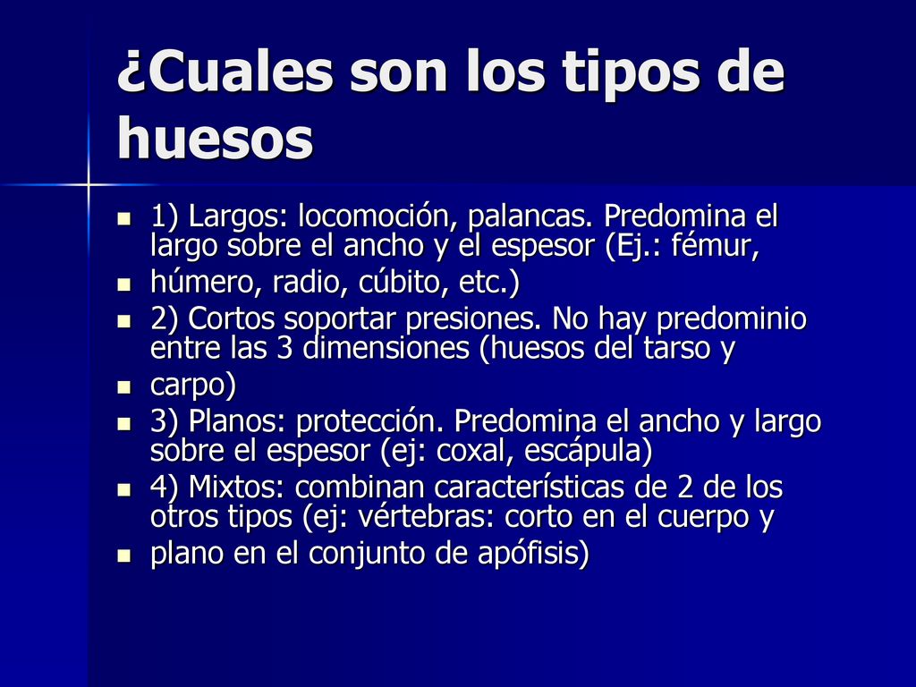 ¿Cuales son los tipos de huesos