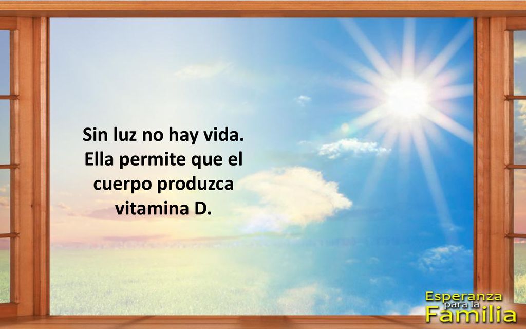 Sin luz no hay vida. Ella permite que el cuerpo produzca vitamina D.