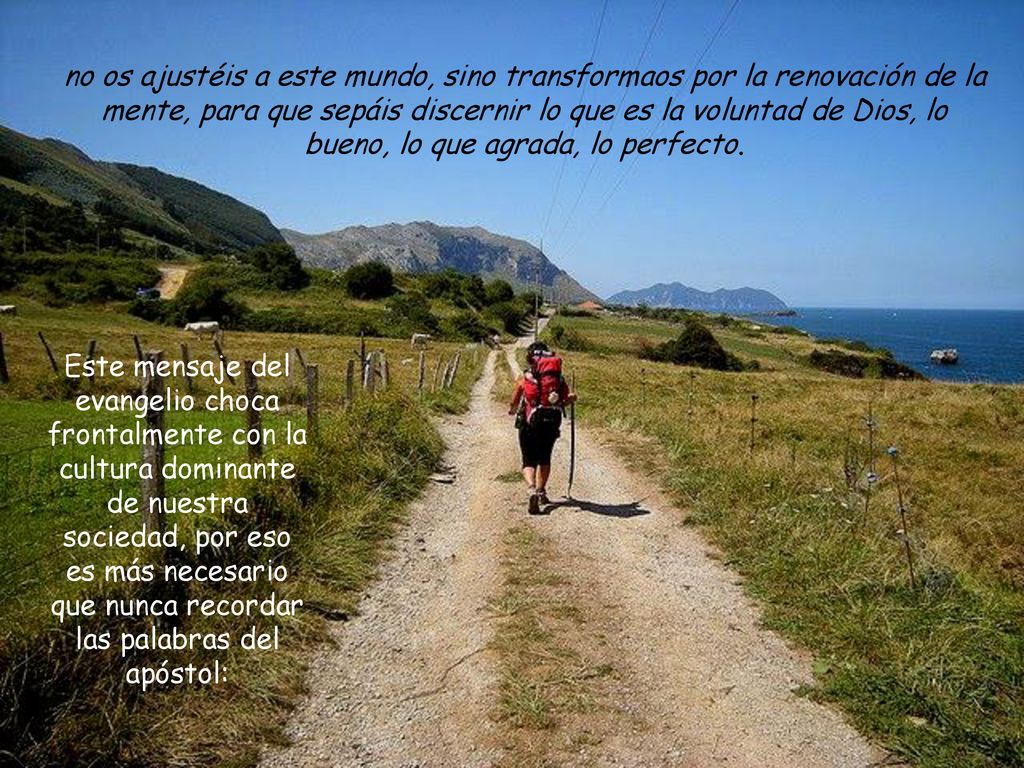 no os ajustéis a este mundo, sino transformaos por la renovación de la mente, para que sepáis discernir lo que es la voluntad de Dios, lo bueno, lo que agrada, lo perfecto.
