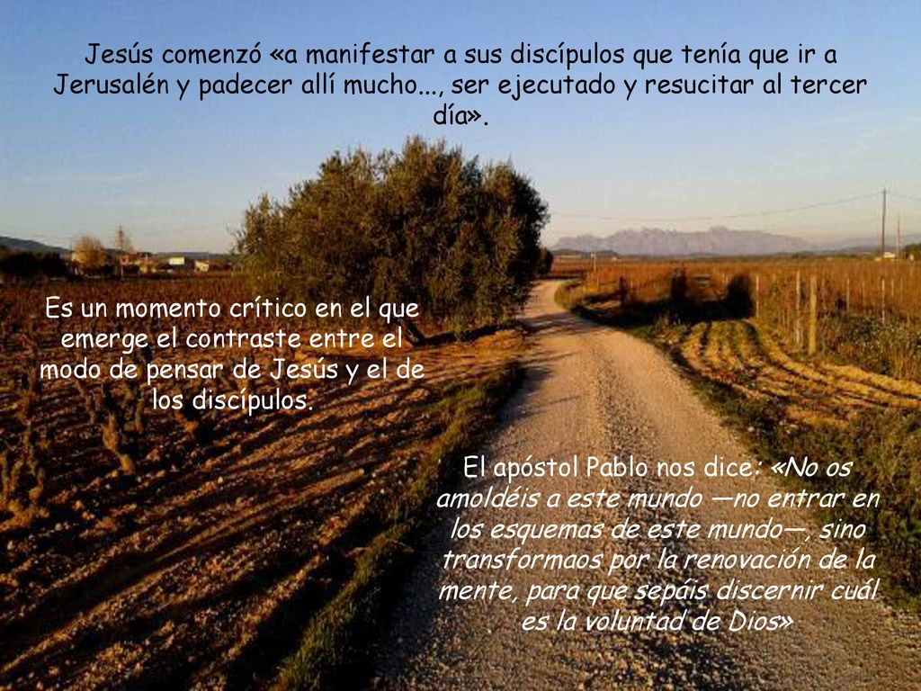 Jesús comenzó «a manifestar a sus discípulos que tenía que ir a Jerusalén y padecer allí mucho..., ser ejecutado y resucitar al tercer día».
