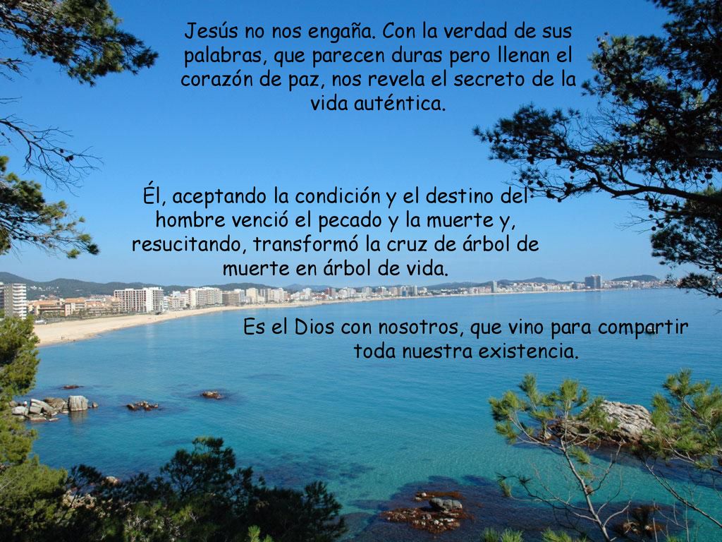 Jesús no nos engaña. Con la verdad de sus palabras, que parecen duras pero llenan el corazón de paz, nos revela el secreto de la vida auténtica.