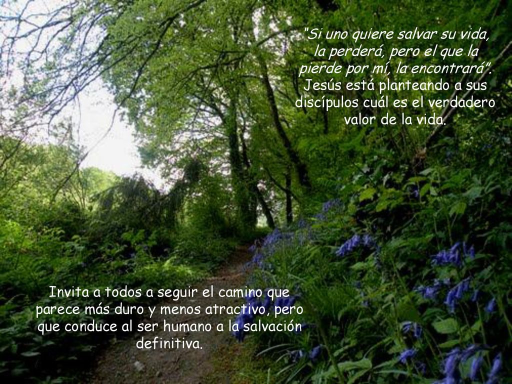 Si uno quiere salvar su vida, la perderá, pero el que la pierde por mí, la encontrará . Jesús está planteando a sus discípulos cuál es el verdadero valor de la vida.