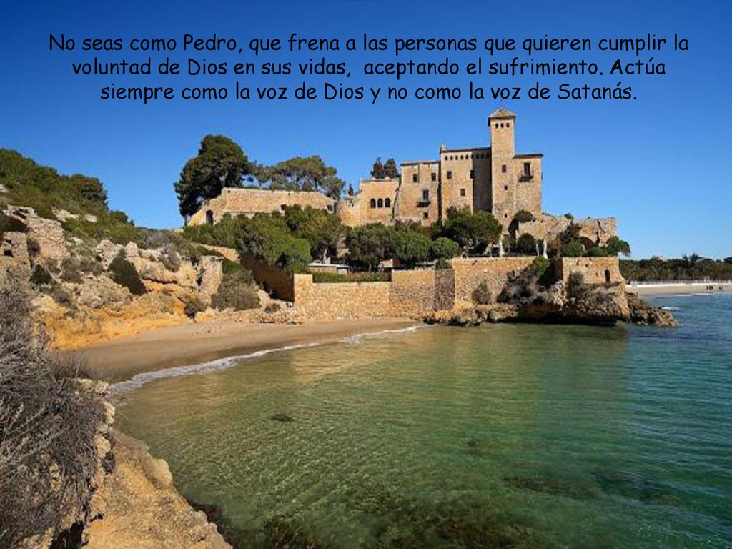 No seas como Pedro, que frena a las personas que quieren cumplir la voluntad de Dios en sus vidas, aceptando el sufrimiento.
