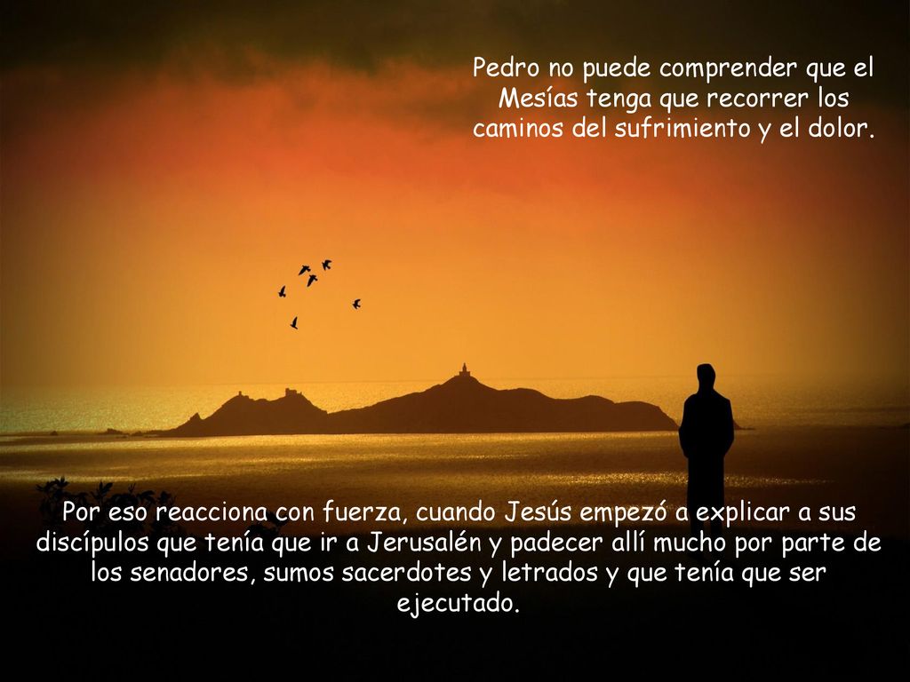 Pedro no puede comprender que el Mesías tenga que recorrer los caminos del sufrimiento y el dolor.