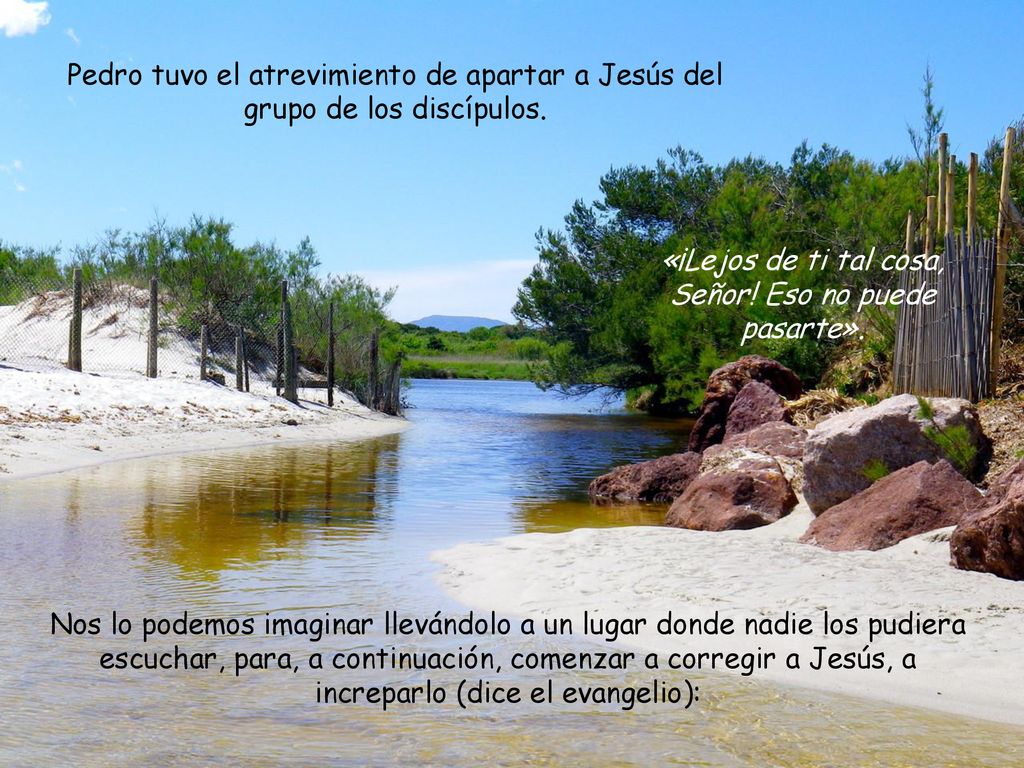 «¡Lejos de ti tal cosa, Señor! Eso no puede pasarte».