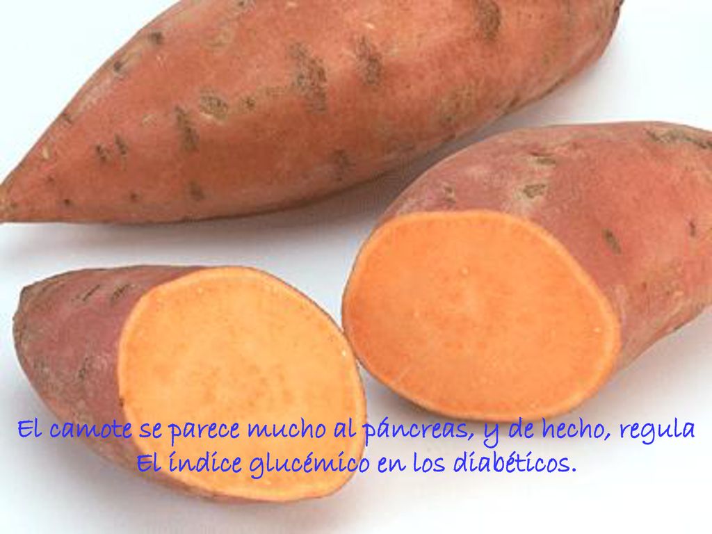 El camote se parece mucho al páncreas, y de hecho, regula
