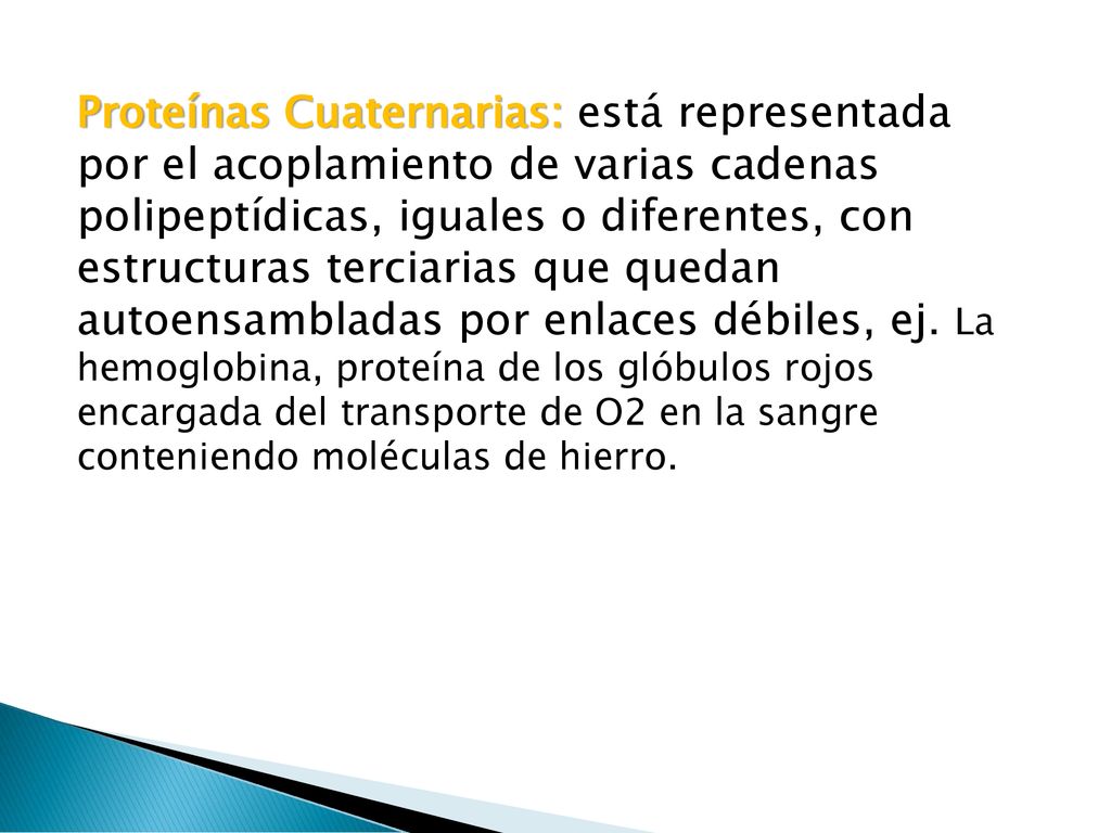 Proteínas Cuaternarias: está representada por el acoplamiento de varias cadenas polipeptídicas, iguales o diferentes, con estructuras terciarias que quedan autoensambladas por enlaces débiles, ej.