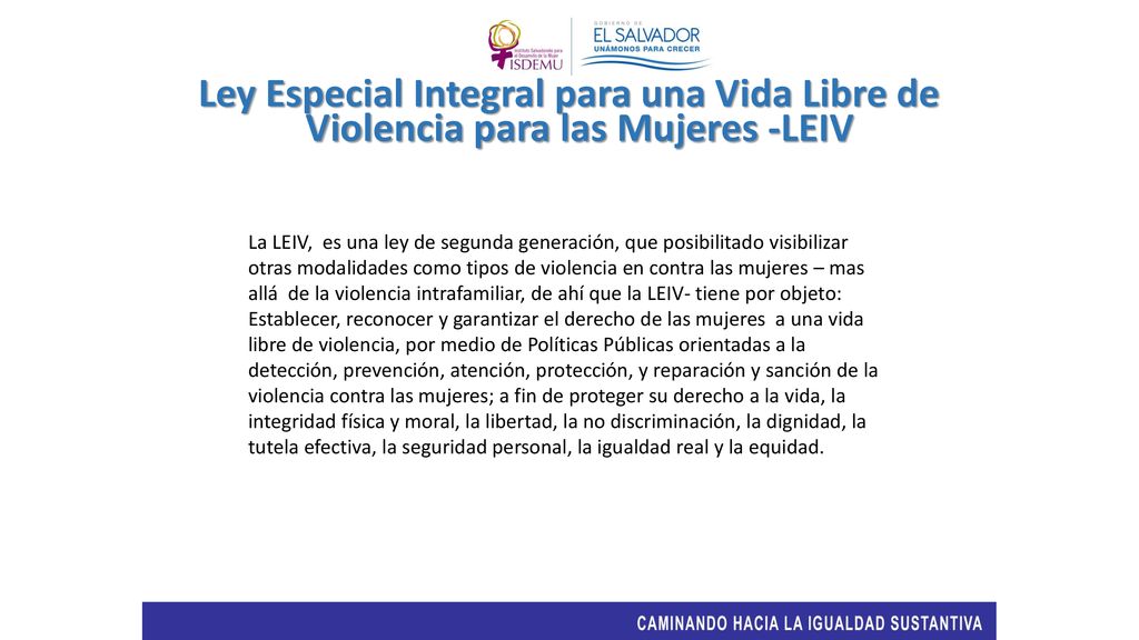 Ley Especial Integral para una Vida Libre de Violencia para las Mujeres -LEIV