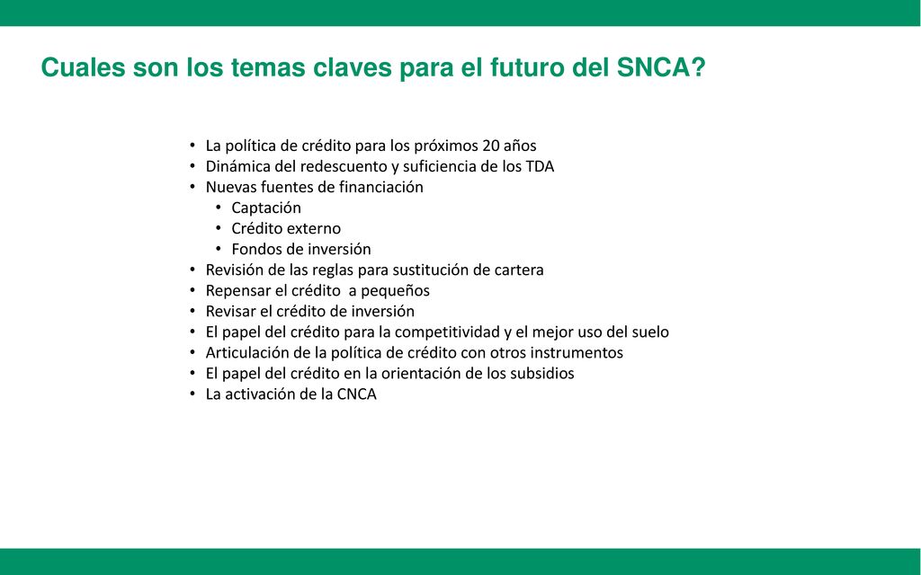 Cuales son los temas claves para el futuro del SNCA