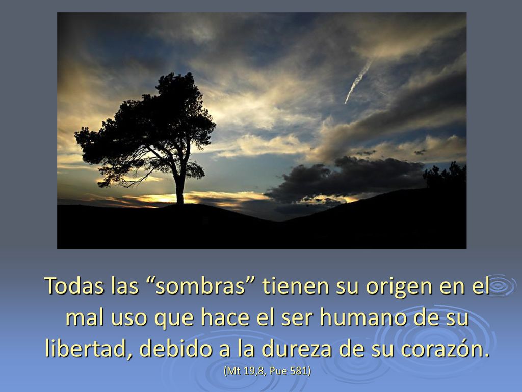 Todas las sombras tienen su origen en el mal uso que hace el ser humano de su libertad, debido a la dureza de su corazón.