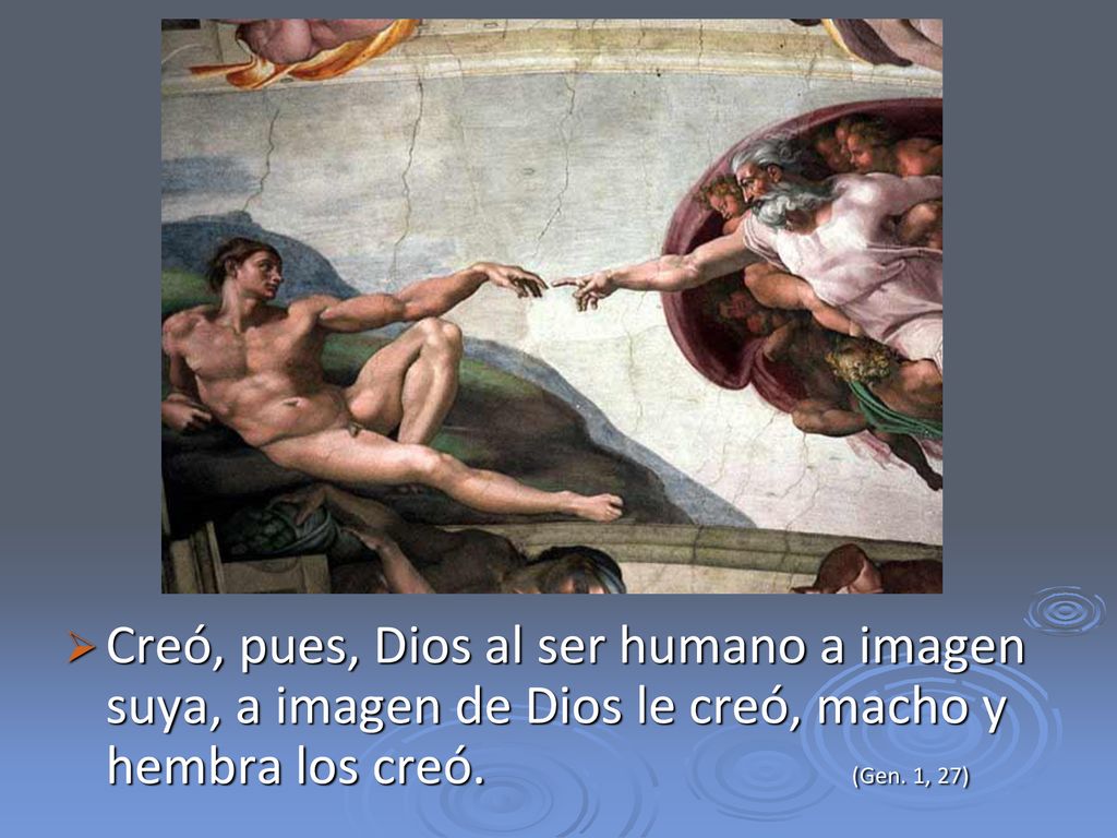 Creó, pues, Dios al ser humano a imagen suya, a imagen de Dios le creó, macho y hembra los creó.