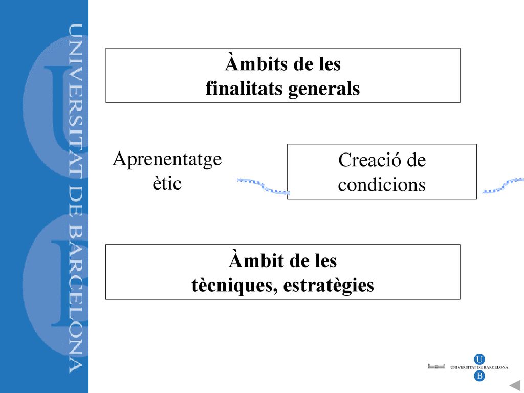 Àmbits de les finalitats generals Àmbit de les tècniques, estratègies