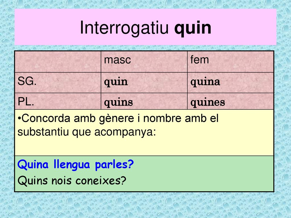 Interrogatiu quin masc fem SG. quin quina PL. quins quines