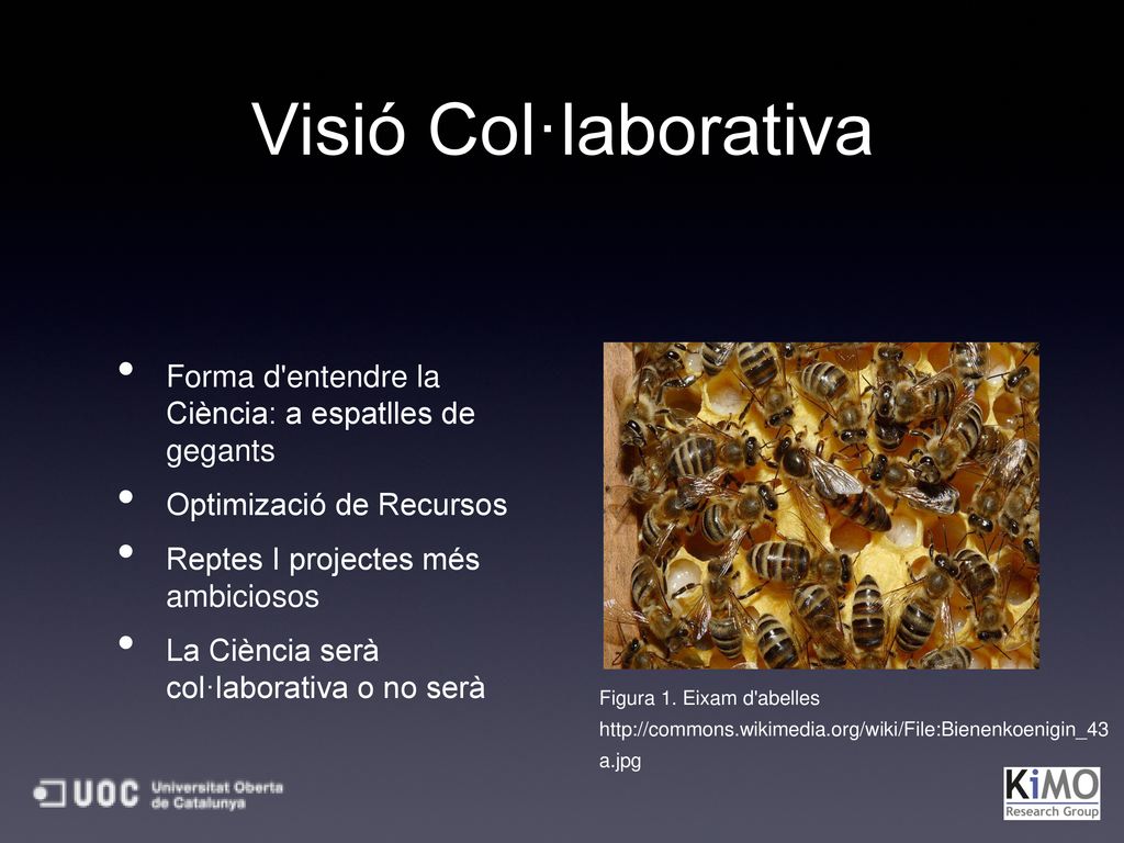 Visió Col·laborativa Forma d entendre la Ciència: a espatlles de gegants. Optimizació de Recursos.