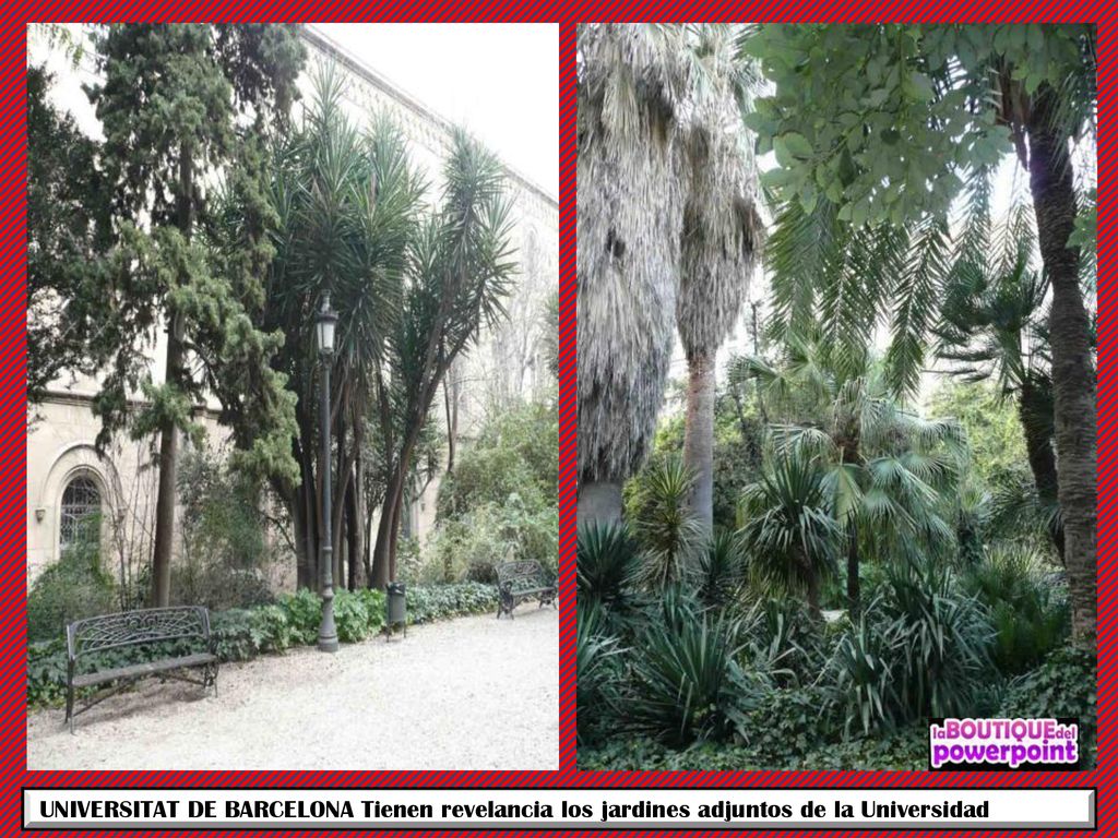 UNIVERSITAT DE BARCELONA Tienen revelancia los jardines adjuntos de la Universidad