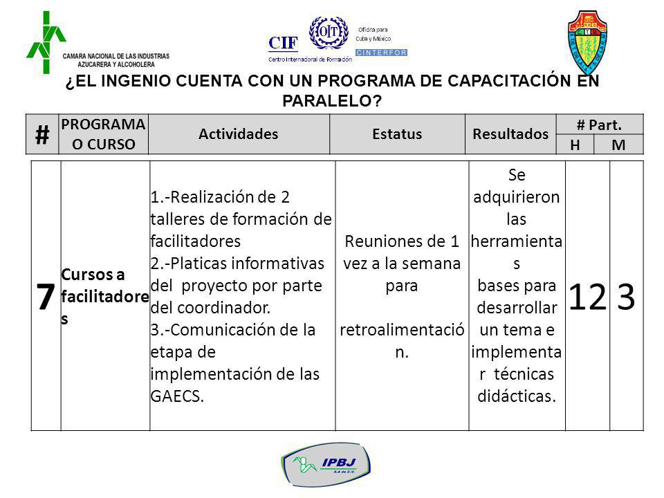 ¿EL INGENIO CUENTA CON UN PROGRAMA DE CAPACITACIÓN EN PARALELO
