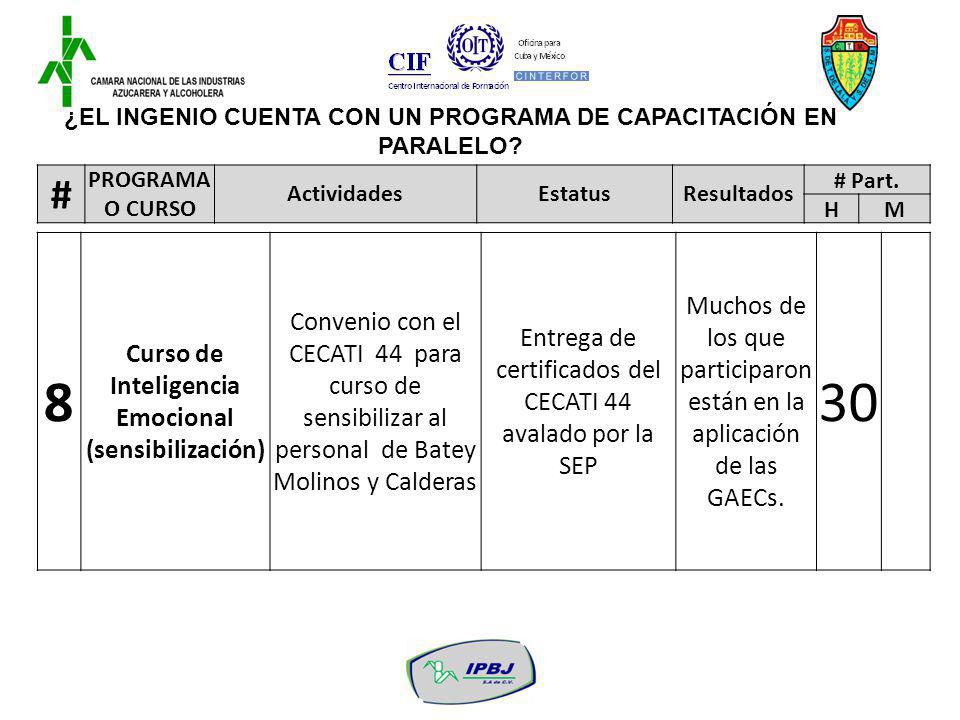 ¿EL INGENIO CUENTA CON UN PROGRAMA DE CAPACITACIÓN EN PARALELO