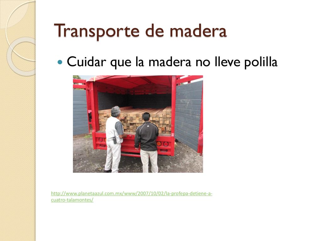 Transporte de madera Cuidar que la madera no lleve polilla