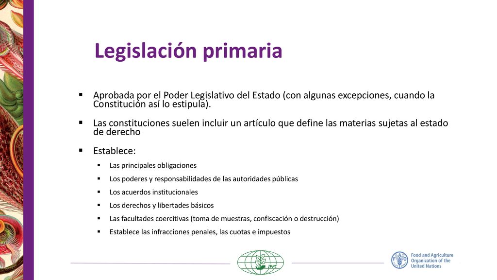 Legislación primaria Aprobada por el Poder Legislativo del Estado (con algunas excepciones, cuando la Constitución así lo estipula).