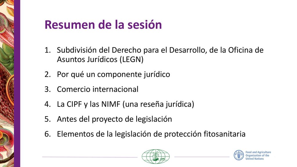 Resumen de la sesión Subdivisión del Derecho para el Desarrollo, de la Oficina de Asuntos Jurídicos (LEGN)