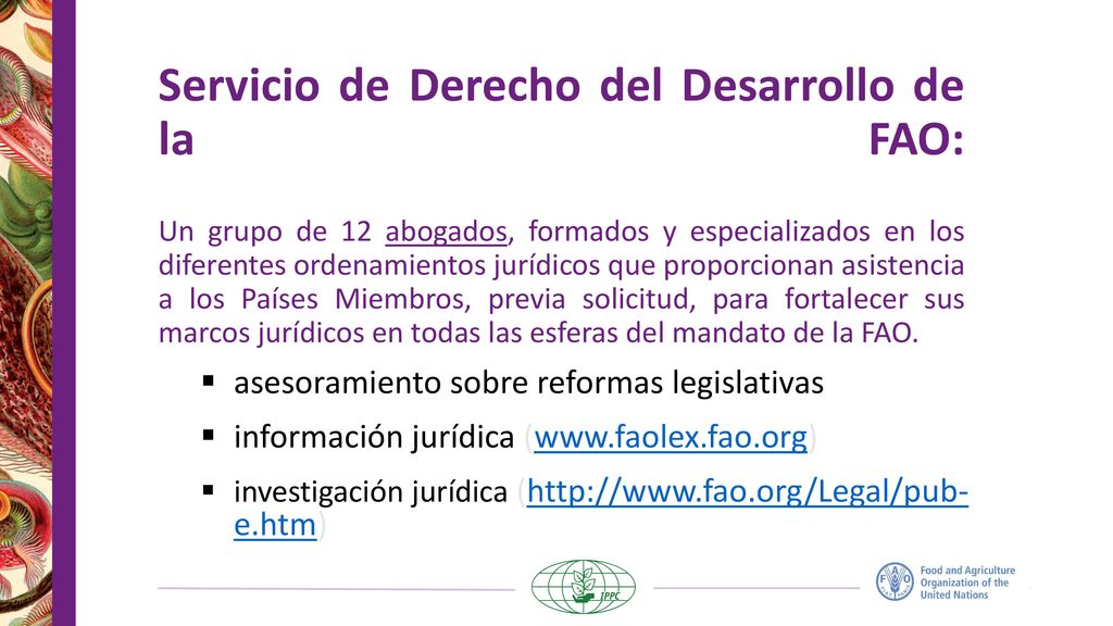 Servicio de Derecho del Desarrollo de la FAO: Un grupo de 12 abogados, formados y especializados en los diferentes ordenamientos jurídicos que proporcionan asistencia a los Países Miembros, previa solicitud, para fortalecer sus marcos jurídicos en todas las esferas del mandato de la FAO.