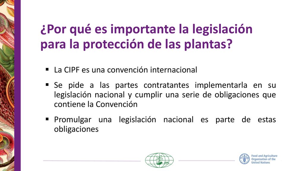 ¿Por qué es importante la legislación para la protección de las plantas