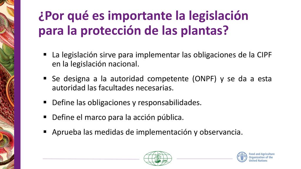 ¿Por qué es importante la legislación para la protección de las plantas