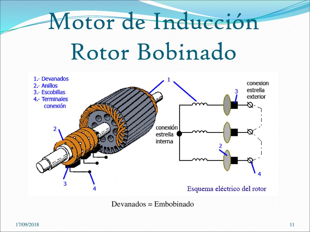 COMPONENTES DE LOS MOTORES ELÉCTRICOS - Mind Map