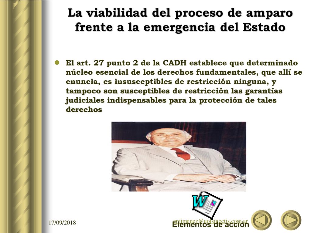 La viabilidad del proceso de amparo frente a la emergencia del Estado