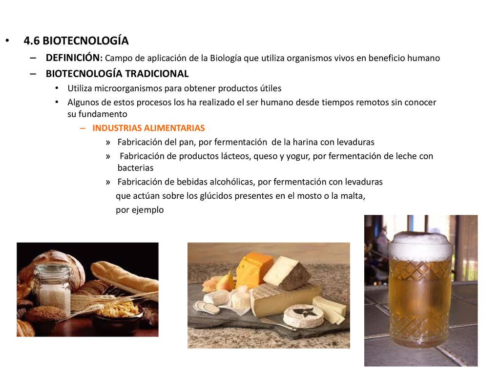 4.6 BIOTECNOLOGÍA DEFINICIÓN: Campo de aplicación de la Biología que utiliza organismos vivos en beneficio humano.