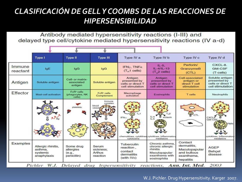 CLASIFICACIÓN DE GELL Y COOMBS DE LAS REACCIONES DE HIPERSENSIBILIDAD