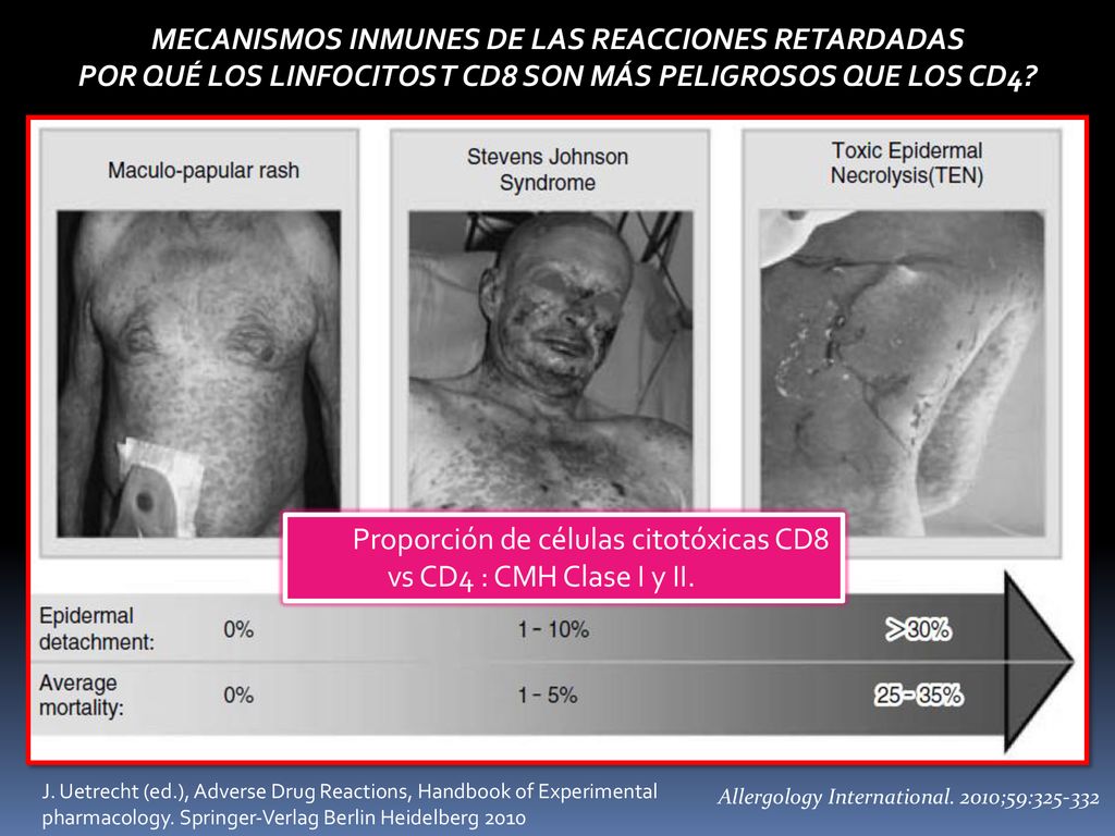 Los CD8 T pueden matar cualquier célula que exprese el CMH I.