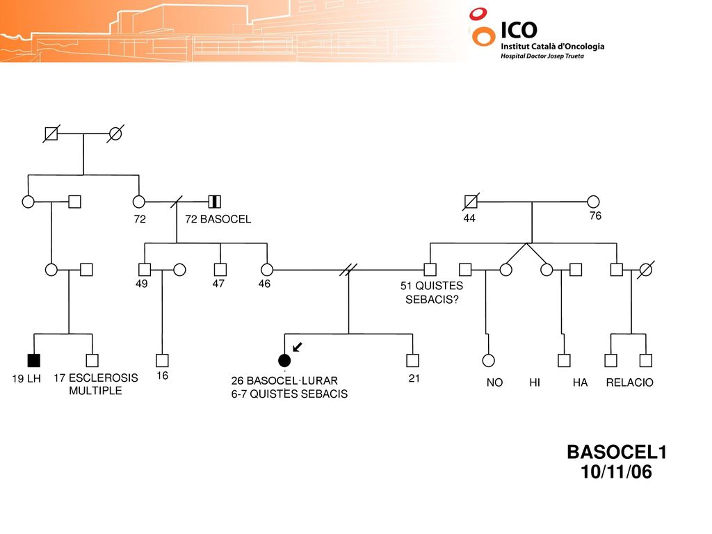 72 72 BASOCEL QUISTES. SEBACIS Investigacion del cancer en Salamanca. Rogelio Gonzalez.