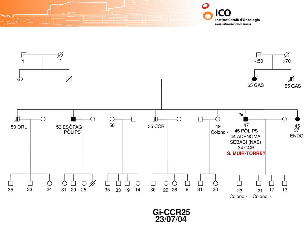 Gi-CCR25 23/07/04 <50 >70 65 GAS 55 GAS 50 ORL CCR 49
