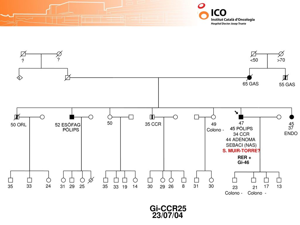 Gi-CCR25 23/07/04 <50 >70 65 GAS 55 GAS 50 ORL ESÒFAG