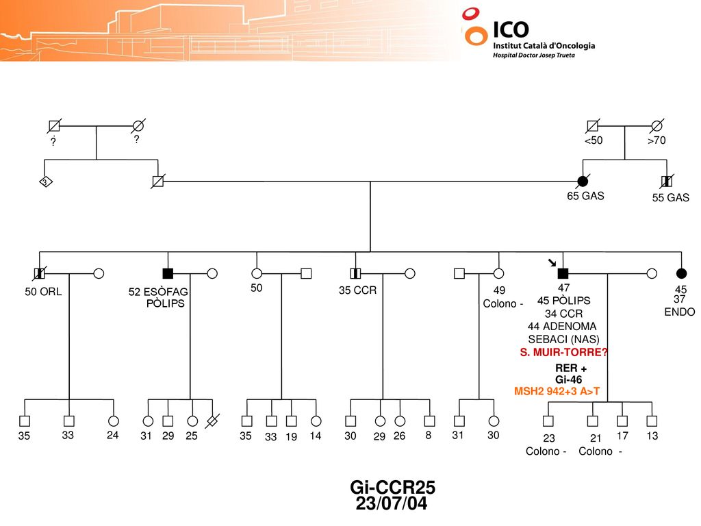 Gi-CCR25 23/07/04 <50 >70 65 GAS 55 GAS 50 ORL ESÒFAG