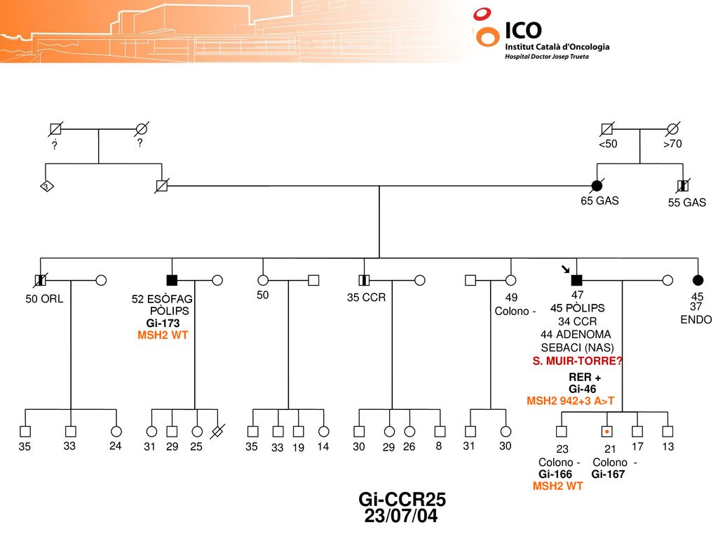 Gi-CCR25 23/07/04 <50 >70 65 GAS 55 GAS 50 ORL ESÒFAG